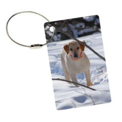 MyFly Tag Personalized Luggage Tags With Metal Loop Upgrade -Eagle Creek || Tumi Sales MyFly Tag Personalized Luggage Tags with Metal Loop Upgrade 7